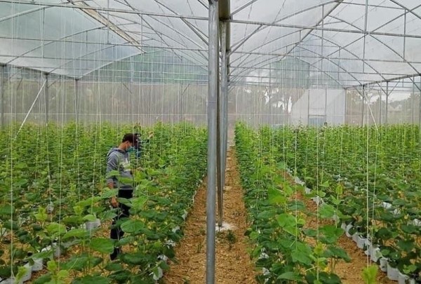 Thanh Hóa kịp thời phân bổ nguồn vốn thực hiện CTMTQG giảm nghèo bền vững