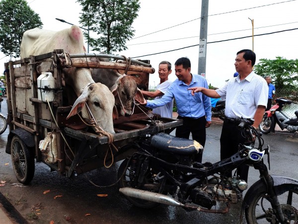 Tăng cường giám sát, đánh giá Chương trình mục tiêu quốc gia giảm nghèo bền vững
