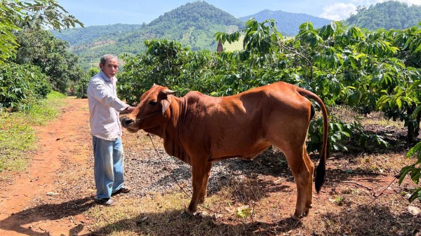 Tập trung phân bổ và sử dụng hiệu quả nguồn vốn