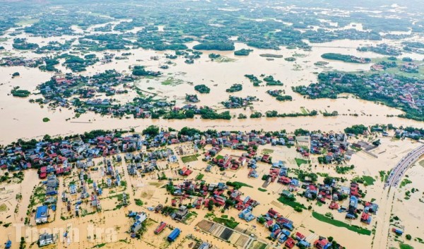 Xem xét miễn, giảm hoặc gia hạn nhiều khoản thuế cho người nộp thuế bị thiệt hại do thiên tai