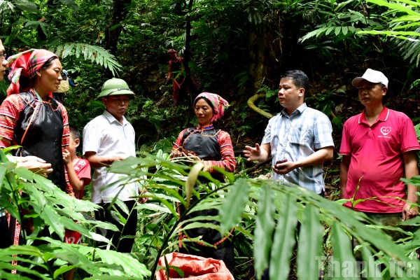 Bộ máy tinh gọn, hoạt động hiệu quả: Dấu ấn sau sắp xếp chính quyền ở Lai Châu