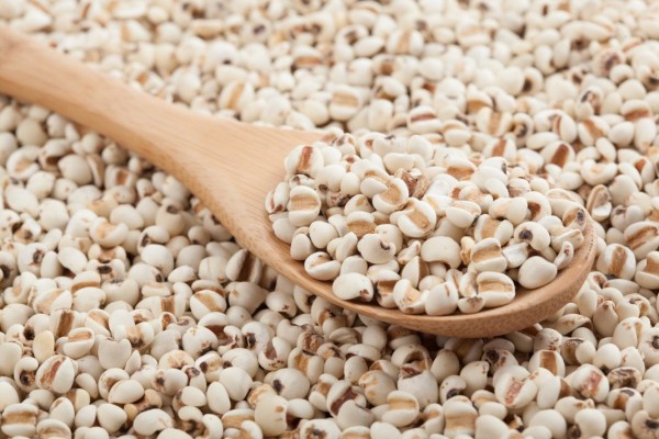 Sở Y tế Thanh Hóa thu hồi dược liệu Ý dĩ không đạt tiêu chuẩn