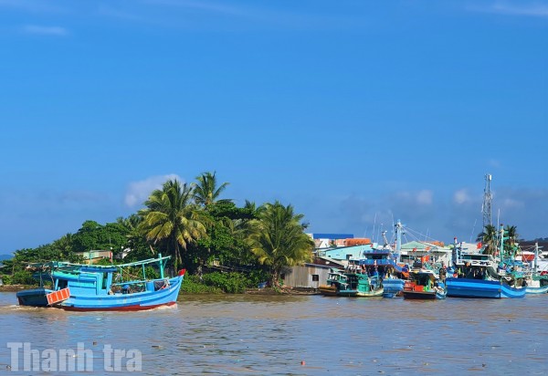 Cà Mau: Tập trung nguồn lực, khẩn trương thực hiện hoàn thành các nhiệm vụ chống khai thác IUU