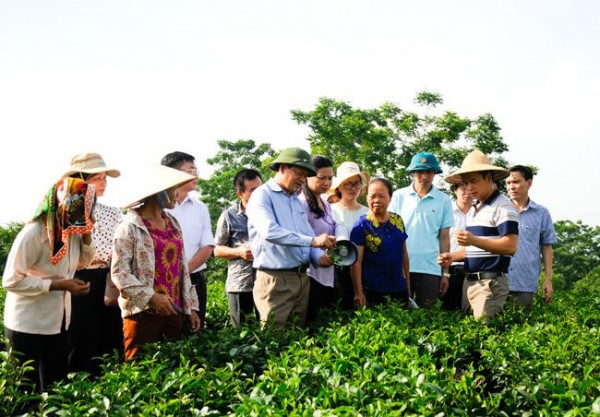 Thái Nguyên: Đầu tư giảm nghèo có trọng điểm, ưu tiên vùng đặc biệt khó khăn