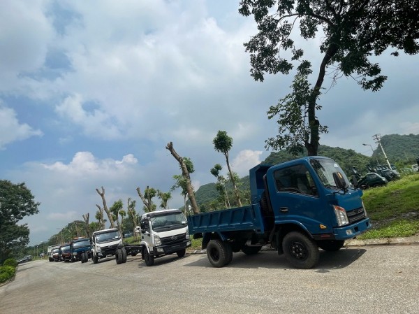 VEAM đấu giá thành công 890 xe ô tô, thu về hơn 176 tỷ đồng