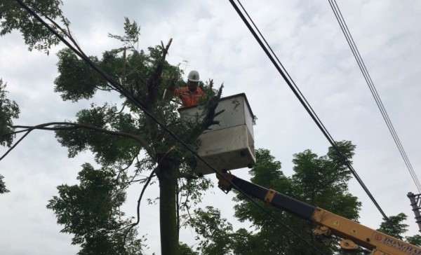 Công ty Điện lực Hưng Yên không ngừng nỗ lực đảm bảo an toàn hành lang lưới điện