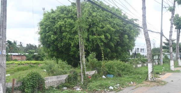 Vĩnh Long: Hủy giấy chứng nhận quyền sử dụng đất đã cấp cho Công ty Cổ phần Bệnh viện Đa khoa Bến Tre