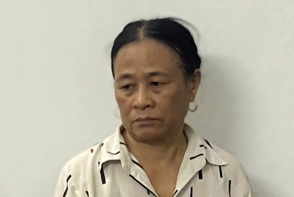 Công an Ninh Bình bắt giữ đối tượng lợi dụng khiếu nại, tố cáo vi phạm pháp luật