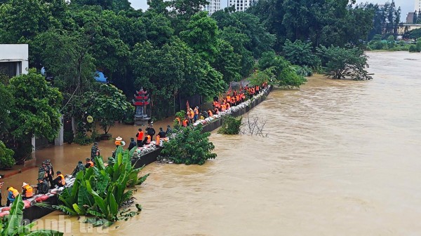 Thái Nguyên tập trung khắc phục hậu quả sau bão số 11, ổn định đời sống Nhân dân