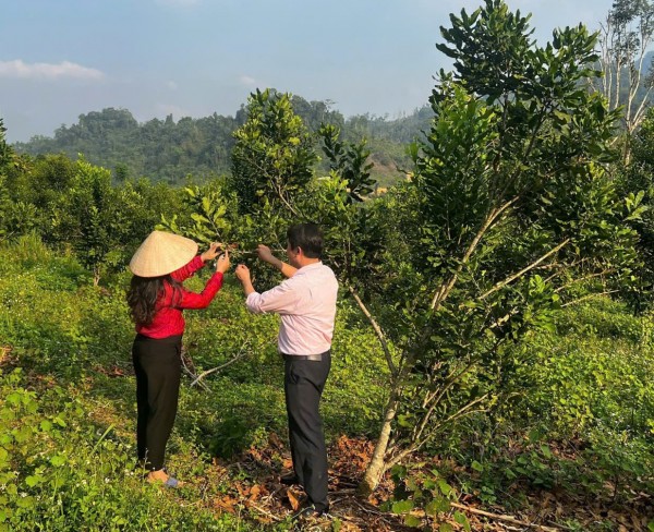 Tín dụng chính sách: “Đòn bẩy” giúp người dân thoát nghèo