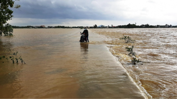 Gia Lai: Tuy Phước Đông chủ động ứng phó mưa bão