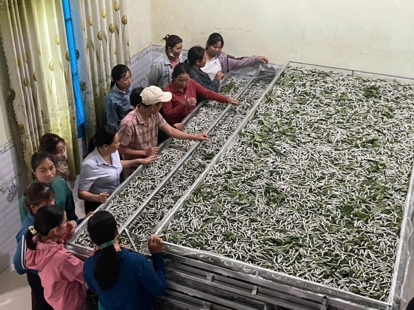 Hội Nông dân xã Ân Hảo – Đoàn kết, đổi mới, tiên phong trong phát triển nông nghiệp và xây dựng quê hương