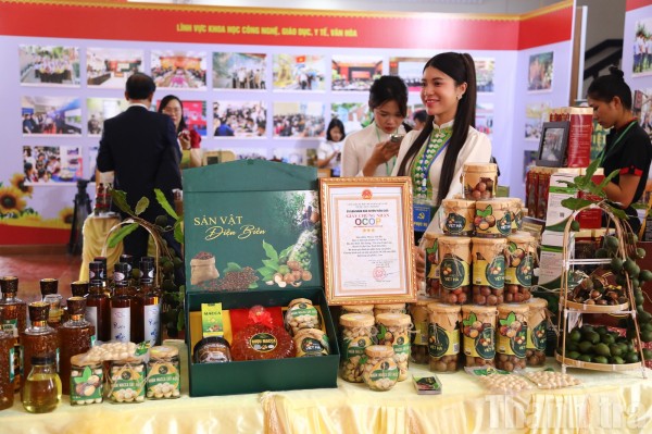 Điện Biên: Cơ cấu lại nông nghiệp gắn với xây dựng nông thôn mới và giảm nghèo bền vững