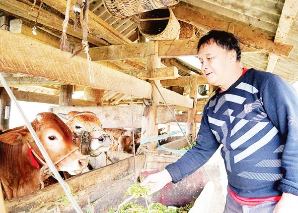 Hoàn thiện thể chế, nâng cao hiệu quả quản lý Chương trình giảm nghèo bền vững