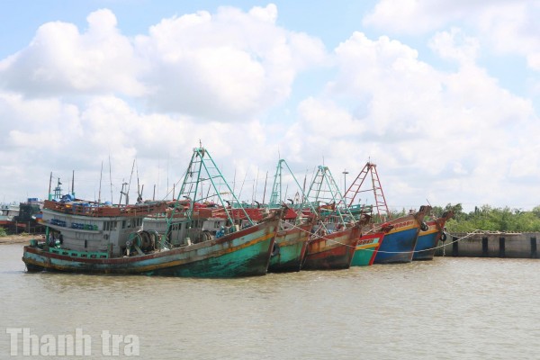 Vĩnh Long: Quyết liệt chống khai thác IUU, gỡ “thẻ vàng” hướng tới phát triển bền vững ngành thủy sản
