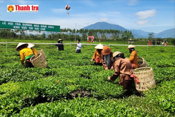 Quảng Ninh: Hiệu quả rõ nét từ các dự án giảm nghèo bền vững