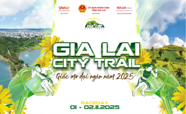 Gia Lai City Trail 2025: Hành trình khám phá sắc vàng dã quỳ và Biển Hồ xanh