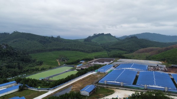 Thanh Hóa: Yêu cầu trang trại lợn dừng hoạt động do gây ô nhiễm môi trường