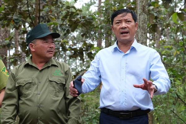 Lâm Đồng: Quản lý, bảo vệ rừng gắn chặt với phát triển kinh tế rừng theo hướng đa mục tiêu