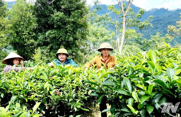 Thái Nguyên: Đổi mới cách tiếp cận, đẩy mạnh giảm nghèo bền vững