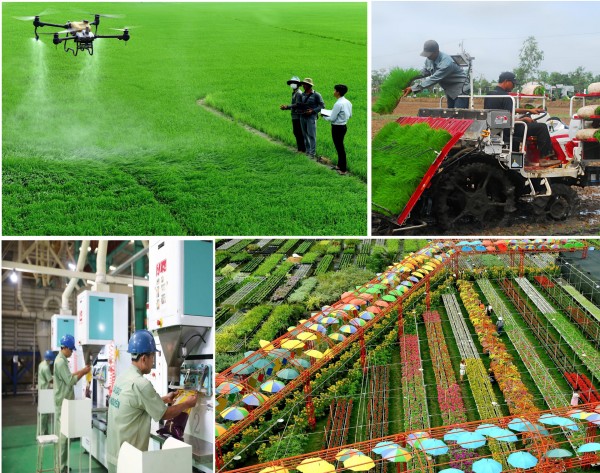 “Bộ tứ trụ cột” góp phần quan trọng vào phát triển kinh tế - xã hội của Đồng Tháp