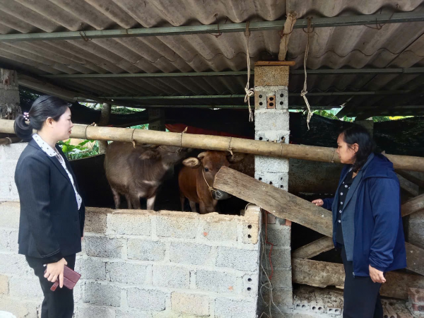 Khi người dân Cần Yên biết vươn lên thoát nghèo từ con bò, con hươu