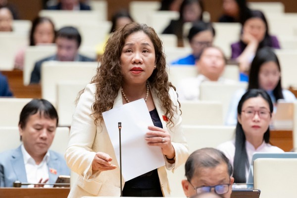 Đại biểu Quốc hội đề xuất chính sách để phát triển nền 