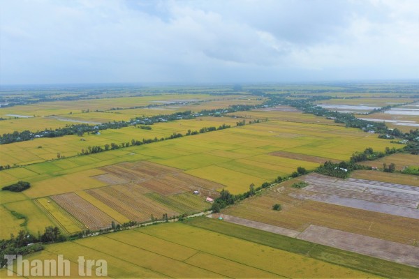 Cà Mau: Hơn 842.000 thửa đất đã được đồng bộ với Cơ sở dữ liệu Quốc gia, đạt 98,65%