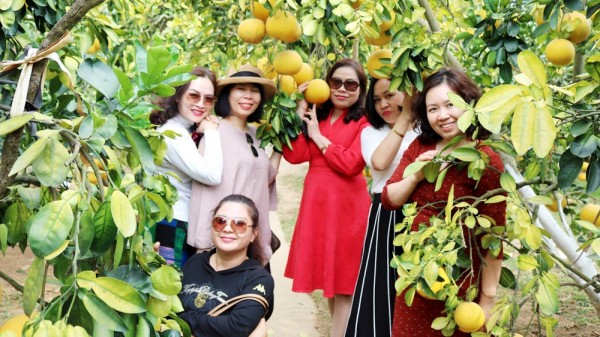 Lễ hội Trái cây Bắc Ninh 2025 diễn ra từ ngày 5/12