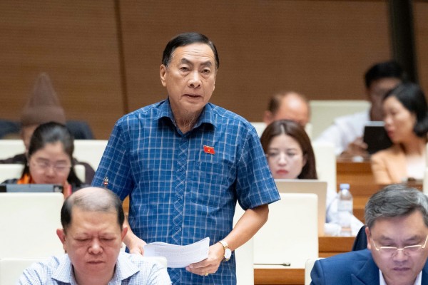 Đại biểu Quốc hội: Có thể đưa vàng vào danh mục hàng bình ổn giá không?