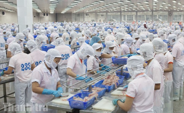 An Giang: Khơi thông nguồn lực, tạo điều kiện để doanh nghiệp tư nhân phát triển