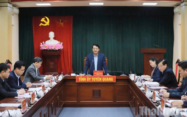 Tuyên Quang: Họp Ban Chỉ đạo bầu cử đại biểu Quốc hội khóa XVI và bầu cử đại biểu HĐND các cấp