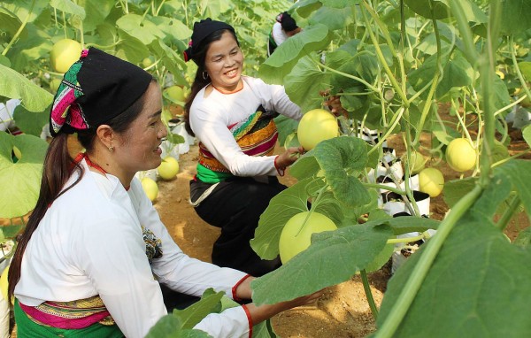 Những điểm sáng trong hướng đi giảm nghèo bền vững vùng miền núi