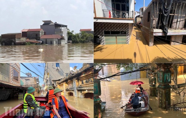 Bắc Ninh rà soát khen thưởng điển hình chống thiên tai, xử lý nghiêm trường hợp chậm trễ