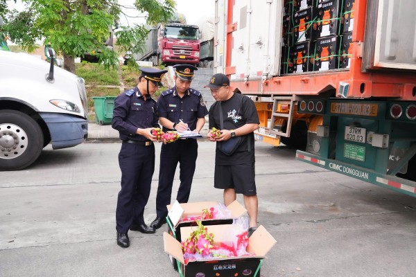 Hải quan Việt Nam thu giữ hơn 2,3 tấn ma túy