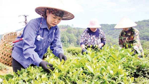 Lạng Sơn: Bứt phá giảm nghèo, lan tỏa sức sống mới