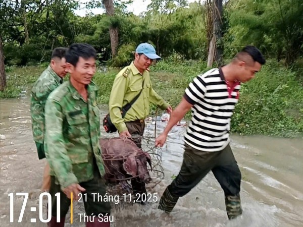 Đắk Lắk: Bộ đội Biên phòng căng mình ứng cứu khi lũ dâng cao ở xã biên giới Buôn Đôn