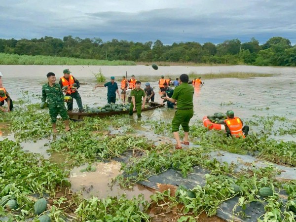 Hỗ trợ 1.100 tỷ đồng cho 4 tỉnh: Khánh Hòa, Lâm Đồng, Gia Lai, Đắk Lắk khắc phục thiệt hại do mưa lũ