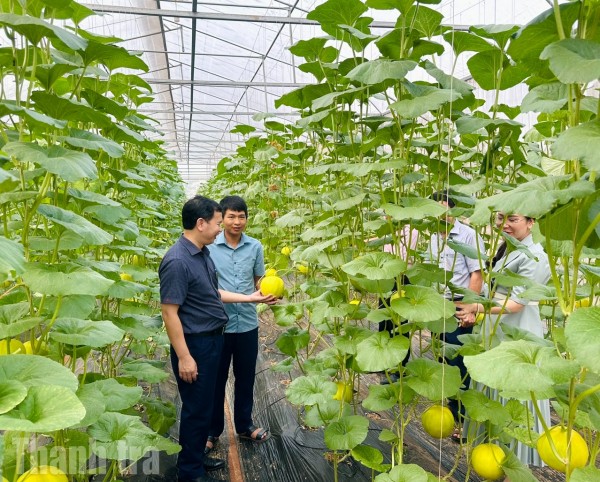 Lan tỏa nguồn vốn tín dụng chính sách thông qua chương trình phối hợp